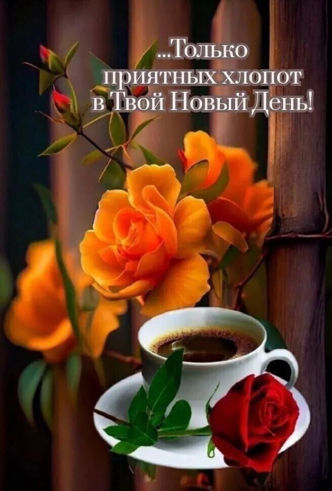 …Только приятных хлопот в Твой Новый День!