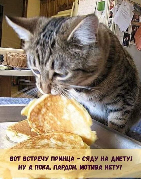 ВОТ ВСТРЕТУ ПРИНЦА - СЯДУ НА ДИЕТУ! НУ А ПОКА, ПАРДОН, МОТИВА НЕТУ!