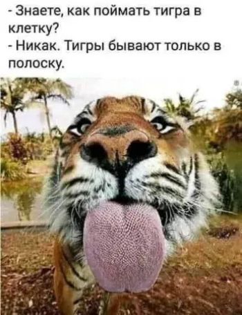 - Знаете, как поймать тигра в клетку? - Никак. Тигры бывают только в полоску.