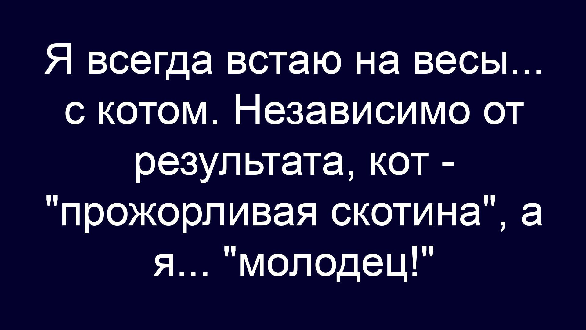 Я всегда встаю на весы... с котом. Независимо от результата, кот - прожорливая скотина, а я... молодец!