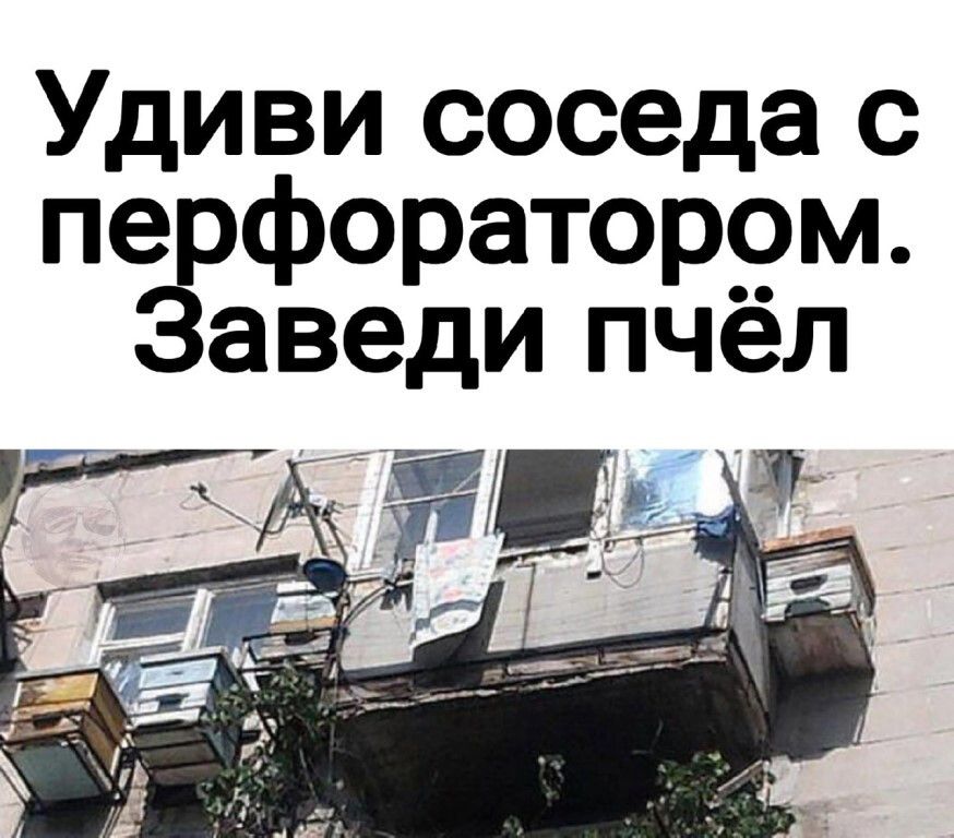 Удиви соседа с перфоратором. Заведи пчёл