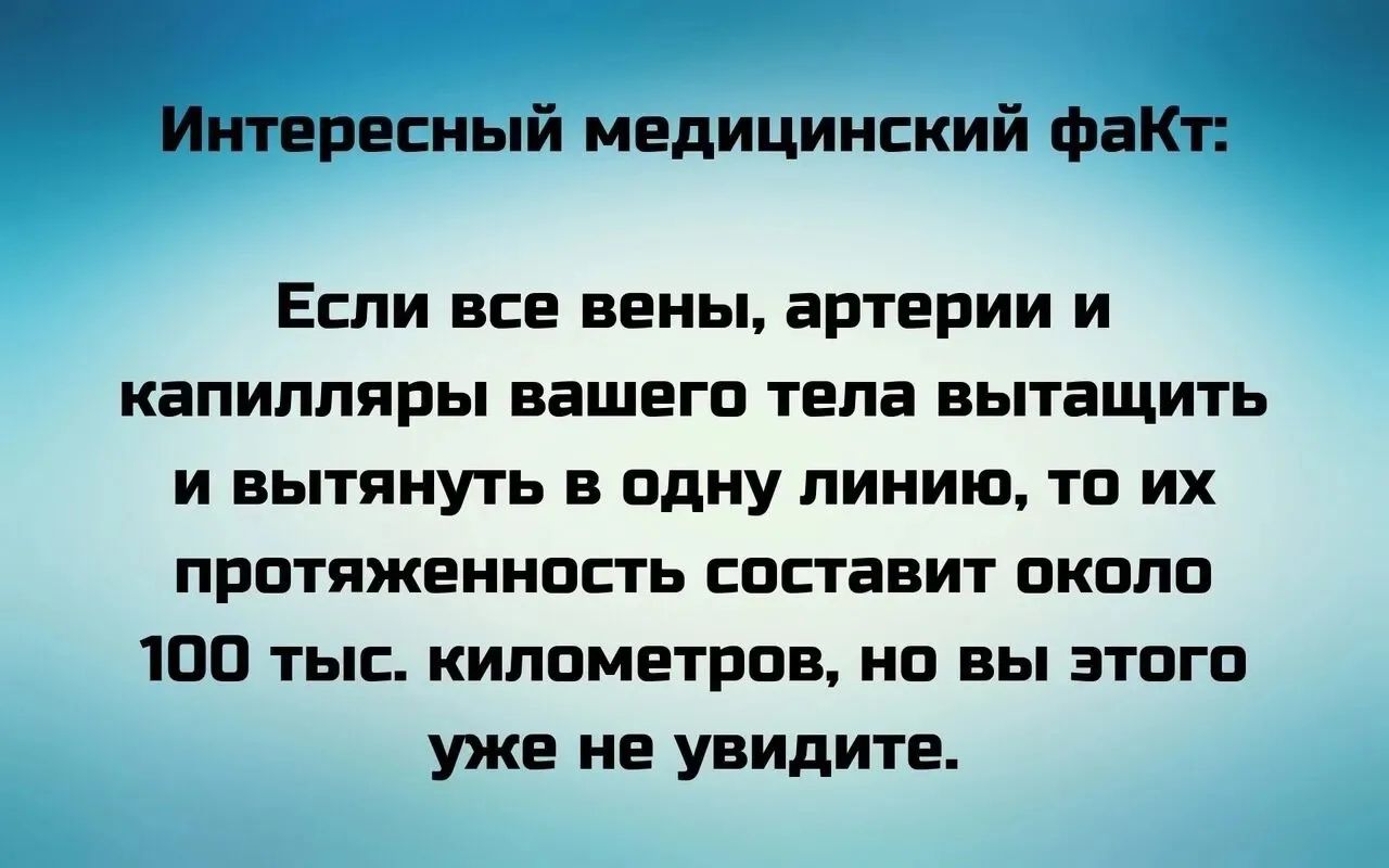 Интересный медицинский факт: Если все вены, артерии и капилляры вашего тела вытянуть и вытянуть в одну линию, то их протяженность составит около 100 тыс. километров, но вы этого уже не увидите.