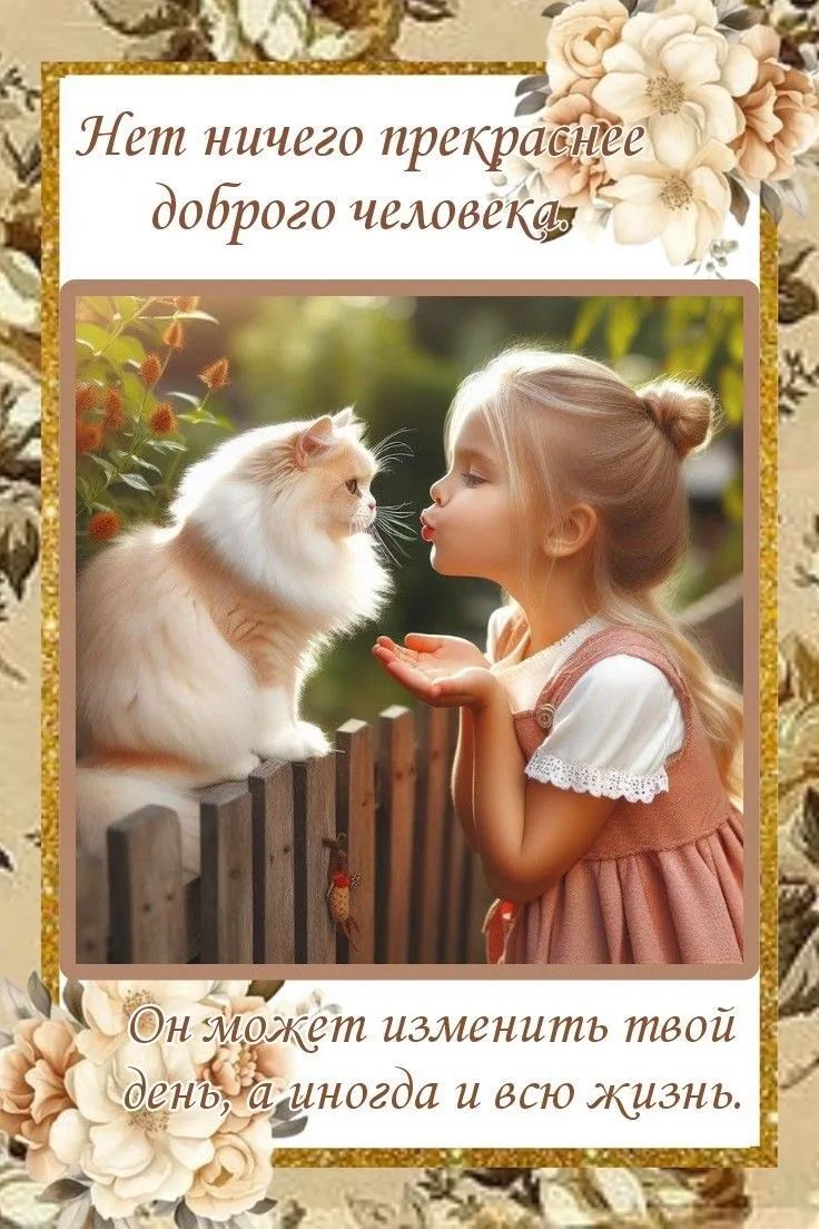 Нет ничего прекраснее доброго человека. Он может изменить твой день, а иногда и всю жизнь.
