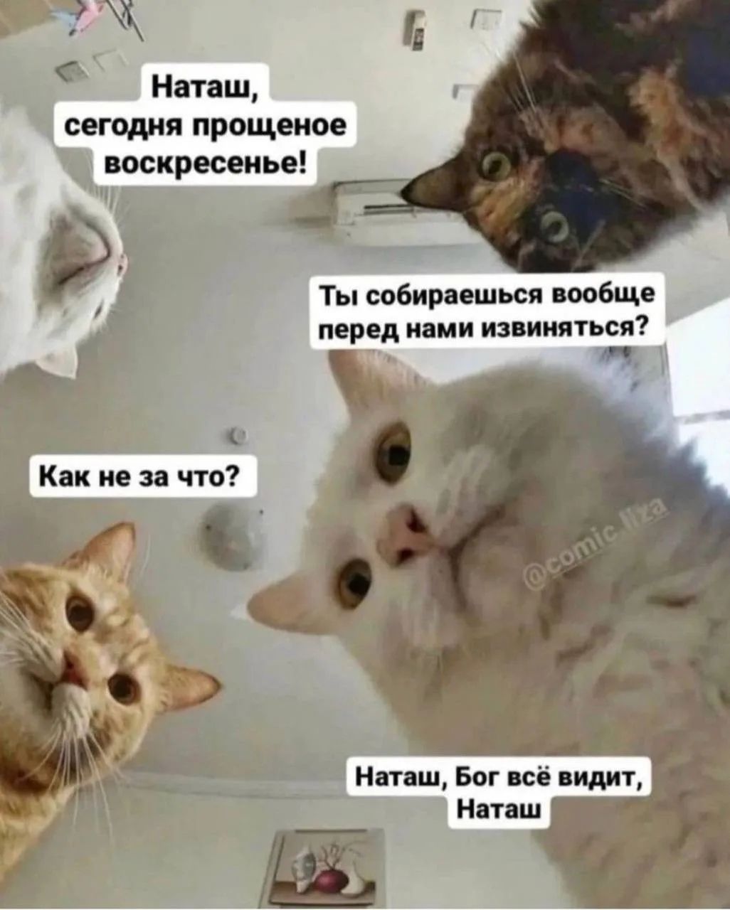 Наташ, сегодня прощеное воскресенье! Ты собираешься вообще перед нами извиняться? Как не за что? Наташ, Бог всё видит, Наташ