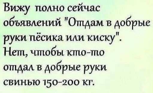 Вижу полно сейчас объявлений “Отдам в добрые руки пёсика или киску”. Нет, чтобы кто-то отдал в добрые руки свинью 150-200 кг.