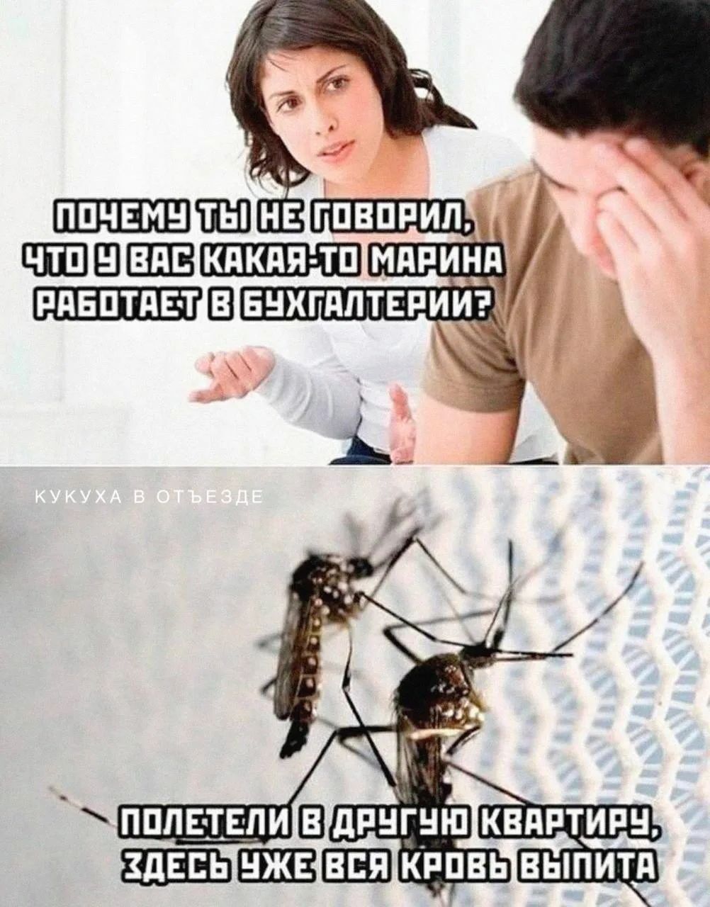 Почему ты не говорил, что у вас какая-то Марина работает в бухгалтерии? Полетели в другую квартиру, здесь уже вся кровь выпита