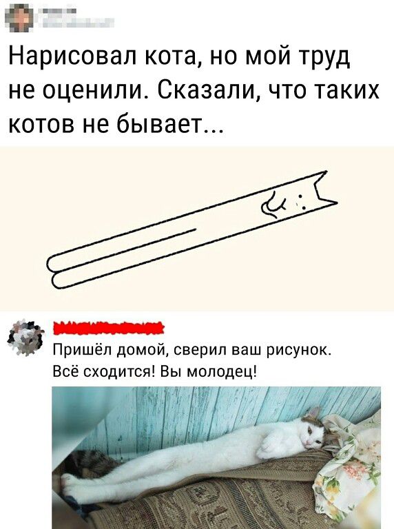 Нарисовал кота, но мой труд не оценили. Сказали, что таких котов не бывает... Пришёл домой, сверил ваш рисунок. Всё сходится! Вы молодец!