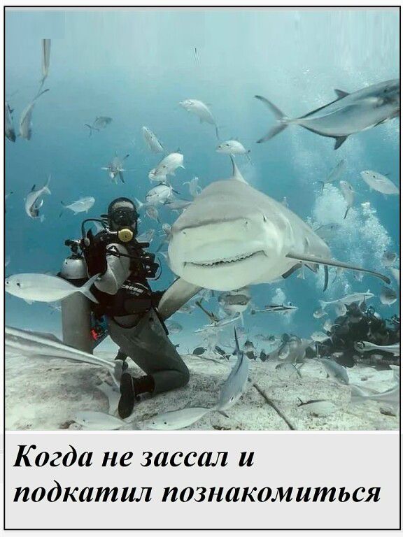 Когда не засал и подкатил познакомиться
