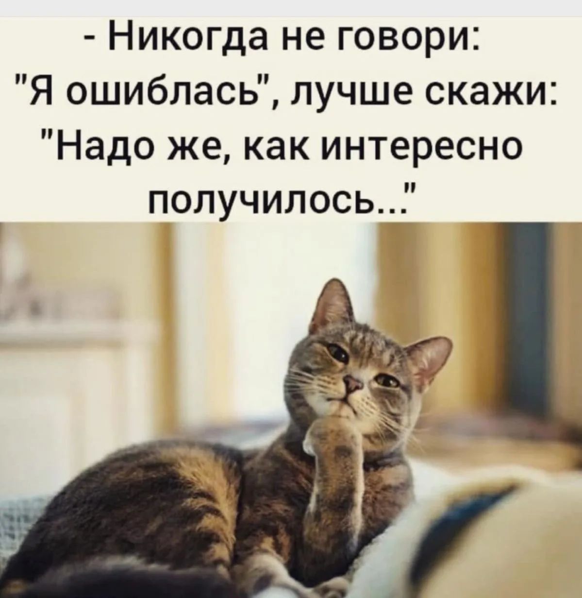 - Никогда не говори: 