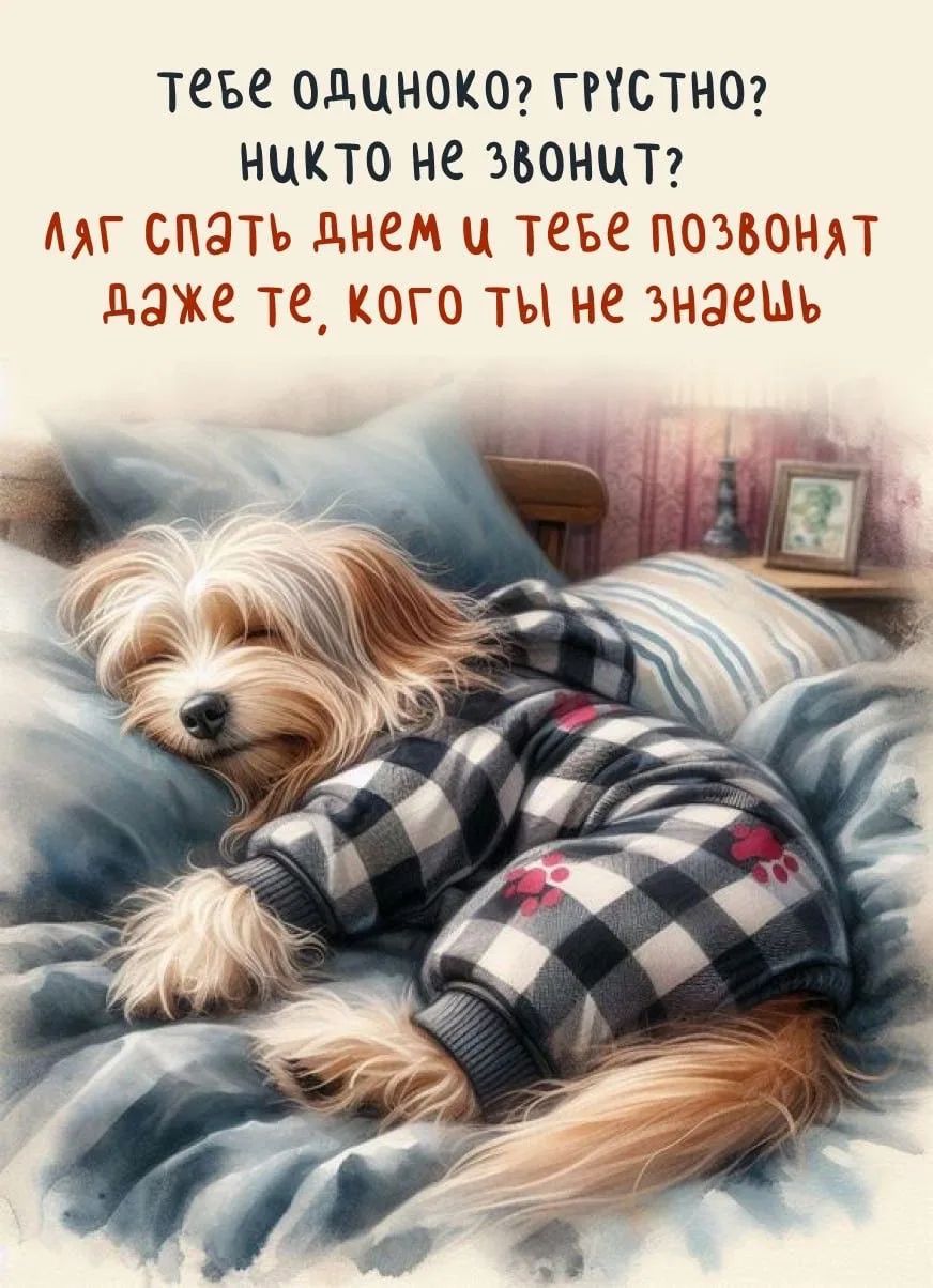 Тебе одиноко? Грустно? Никто не звонит? Ляг спать днем и тебе позвонят даже те, кого ты не знаешь