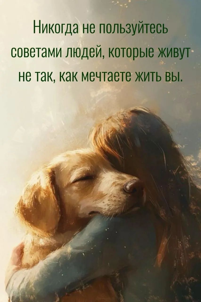 Никогда не пользуйтесь советами людей, которые живут не так, как мечтаете жить вы.