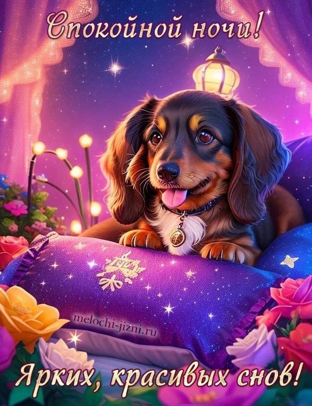 Спокойной ночи!
Ярких, красивых снов!