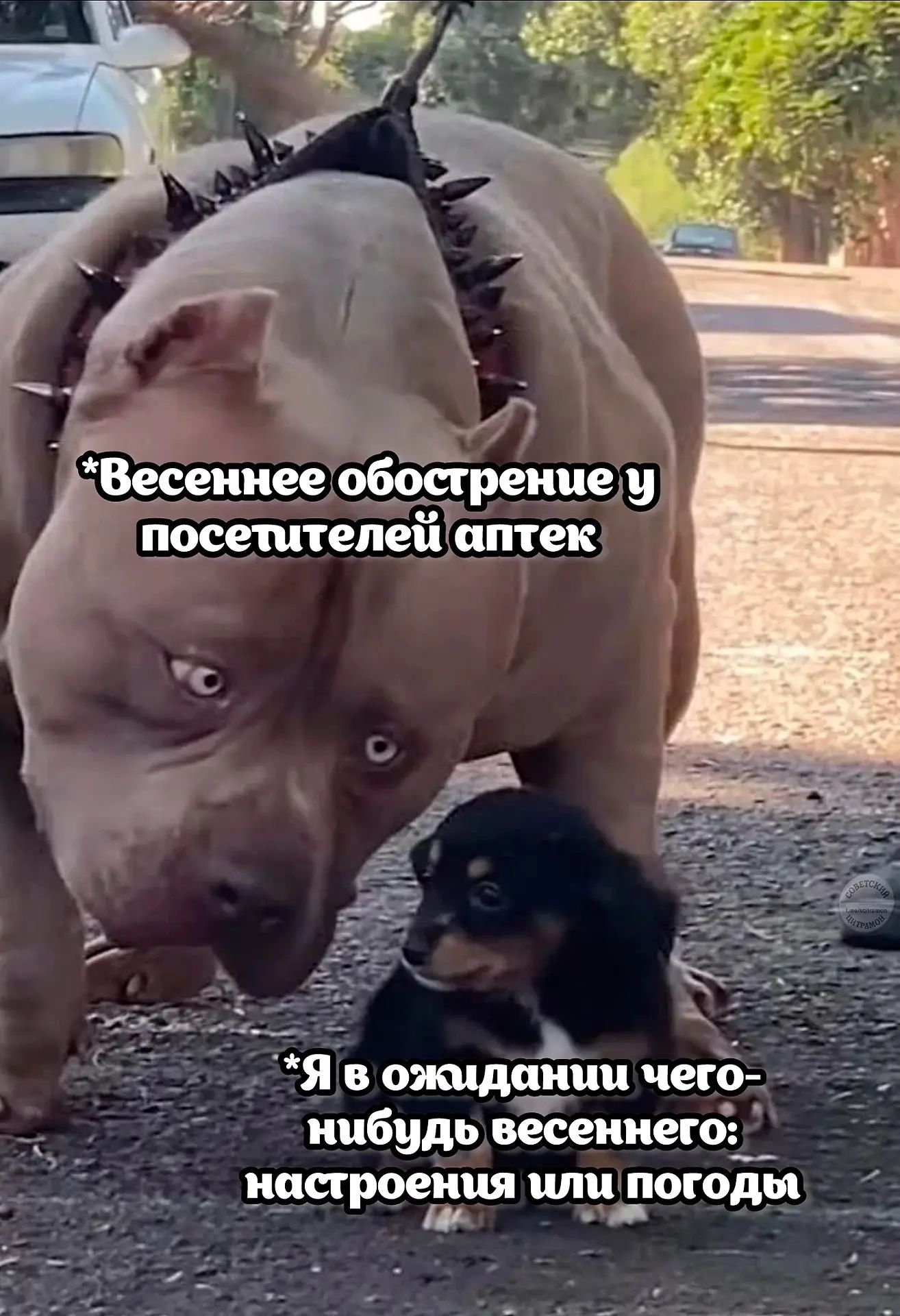 *Весеннее обострение у посетителей аптек\n*Я в ожидании чего-нибудь весеннего: настроения или погоды*