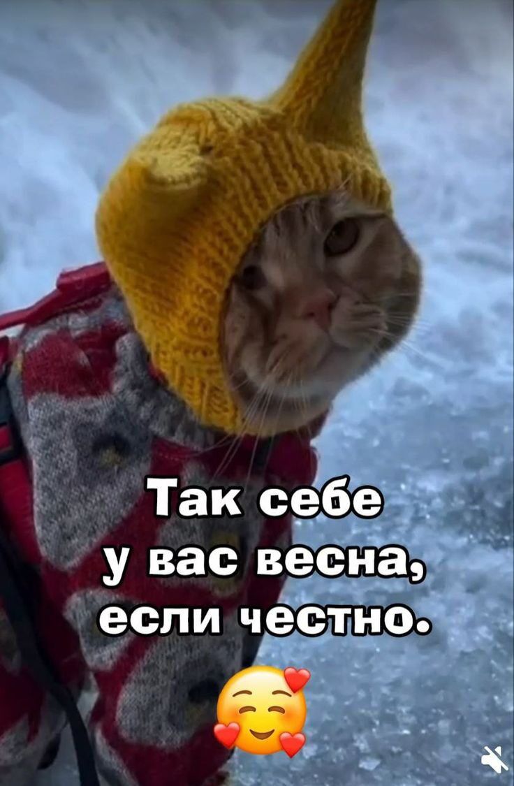 Так себе у вас весна, если честно.