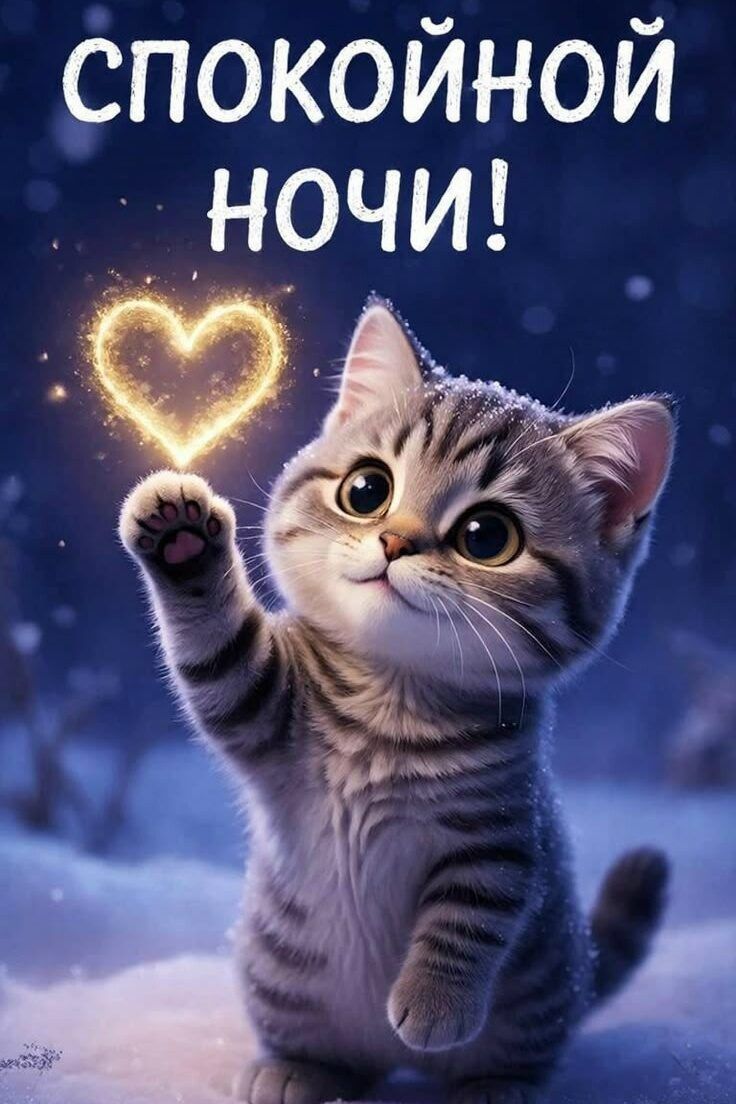 СПОКОЙНОЙ НОЧИ!