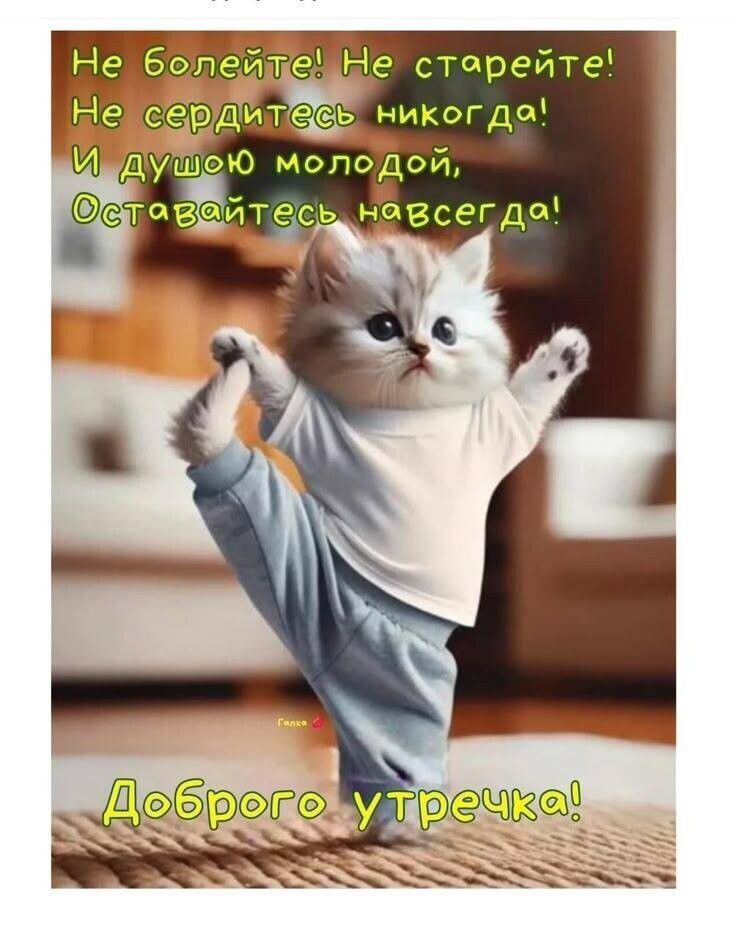 Не болейте! Не старейте! Не сердитесь никогда! И душою молодой, Оставайтесь навсегда! Доброго утречка!
