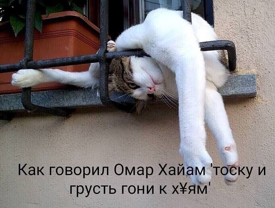 Как говорил Омар Хайям - тоску и грусть гони к х**ям