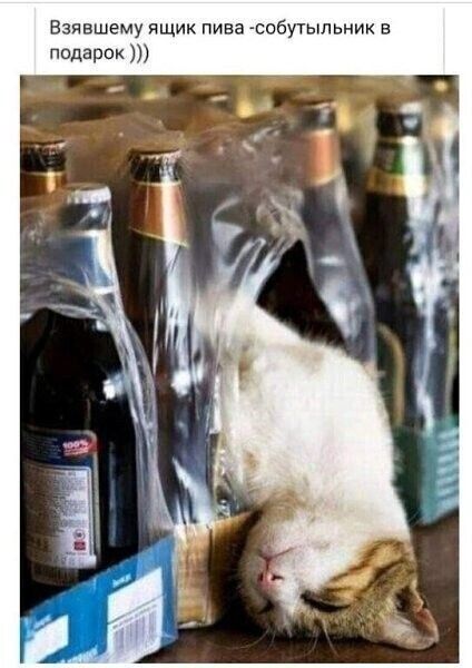 Взявавшему ящик пива - собутыльник в подарок )))