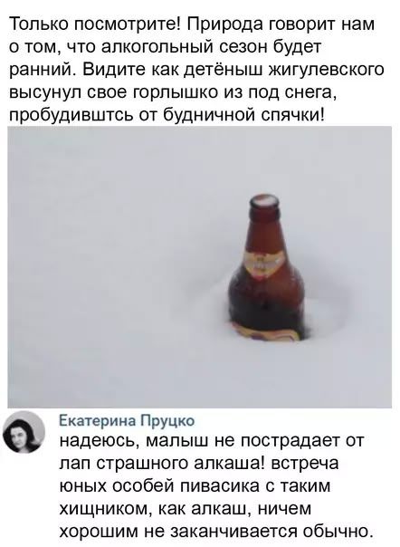 Только посмотрите! Природа говорит нам о том, что алкогольный сезон будет ранний. Видите как детёныш жигулевского высунул своё горлышко из под снега, пробудившись от будничной спячки! Екатерина Пруцко: надеюсь, малыш не пострадает от лап страшного алкаша! встреча юных особей пивасика с таким хищником заканчивается не всегда.