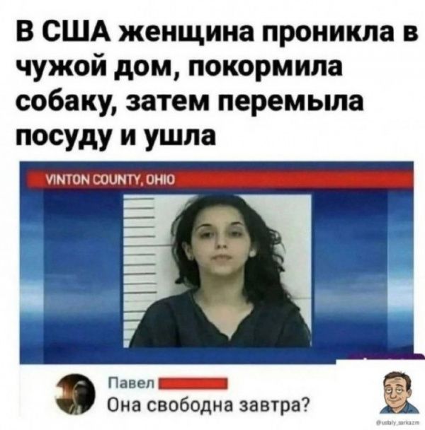 В США женщина проникла в чужой дом, покормила собаку, затем перемыла посуду и ушла. Она свободна завтра?