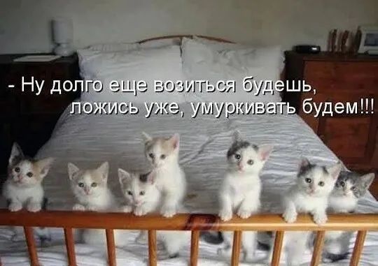 - Ну долго еще возиться будешь, ложись уже, умуркивать будем!!!