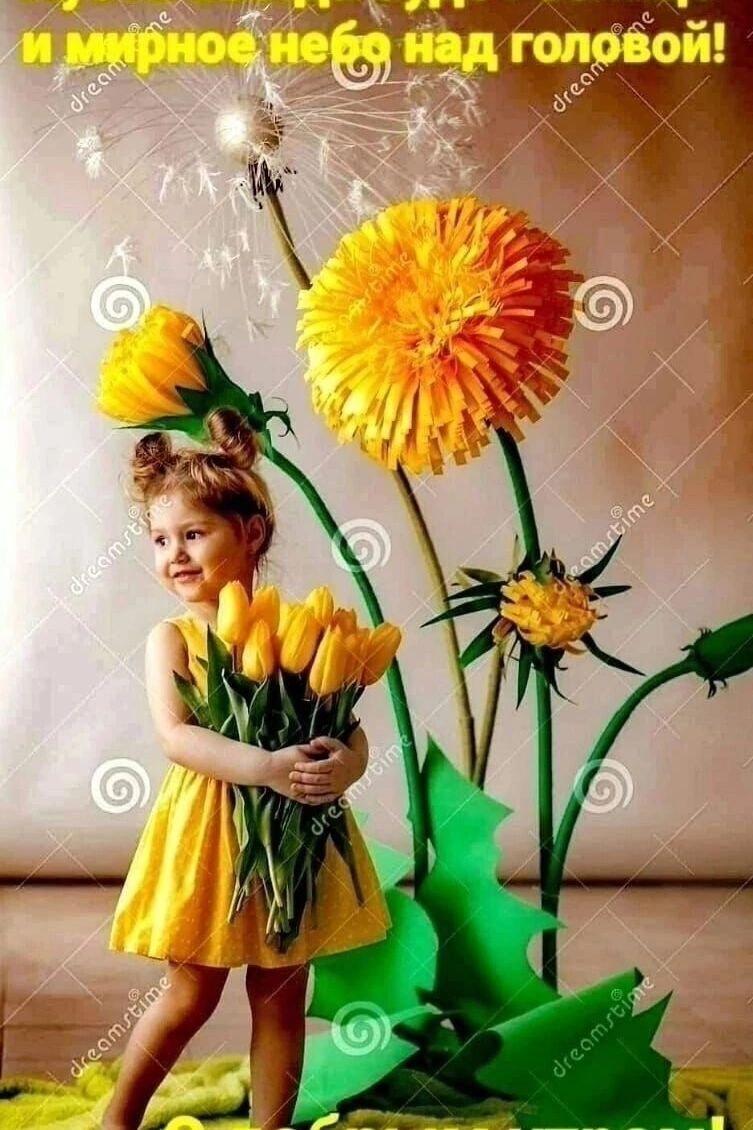 и мирное небо над головой!