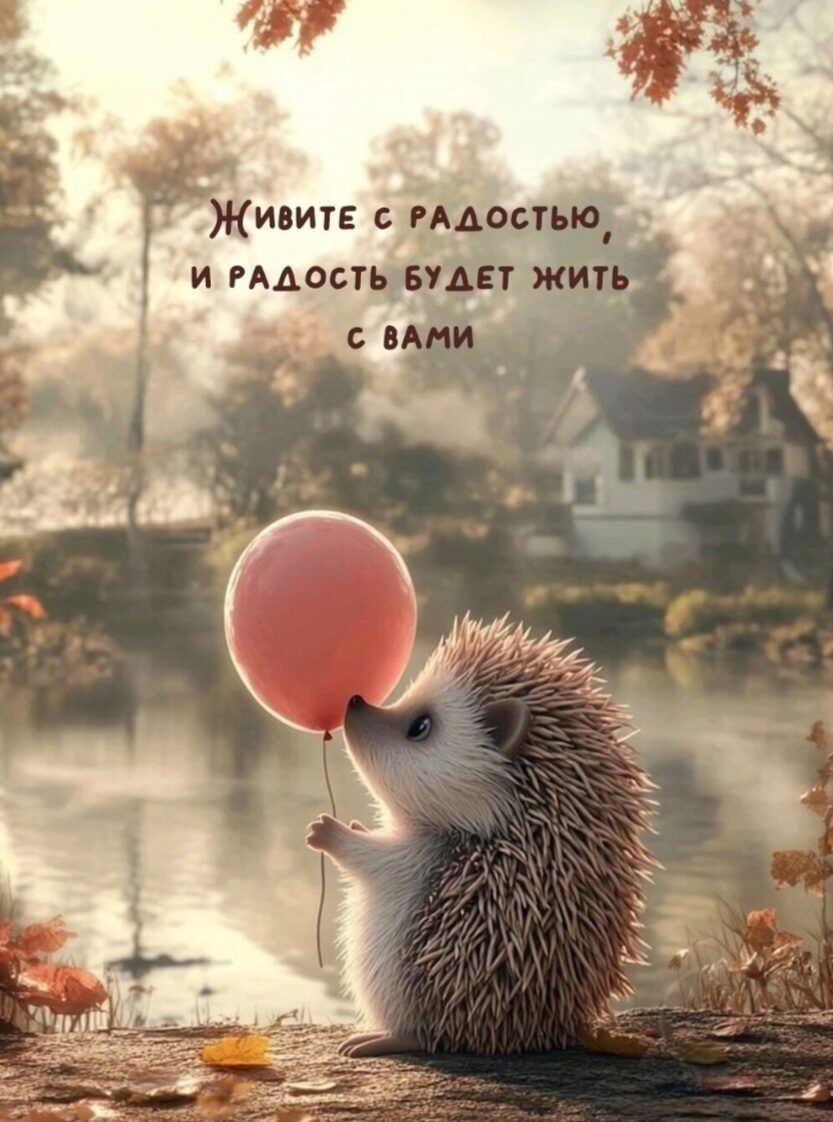 Живите с радостью, и радость будет жить с вами