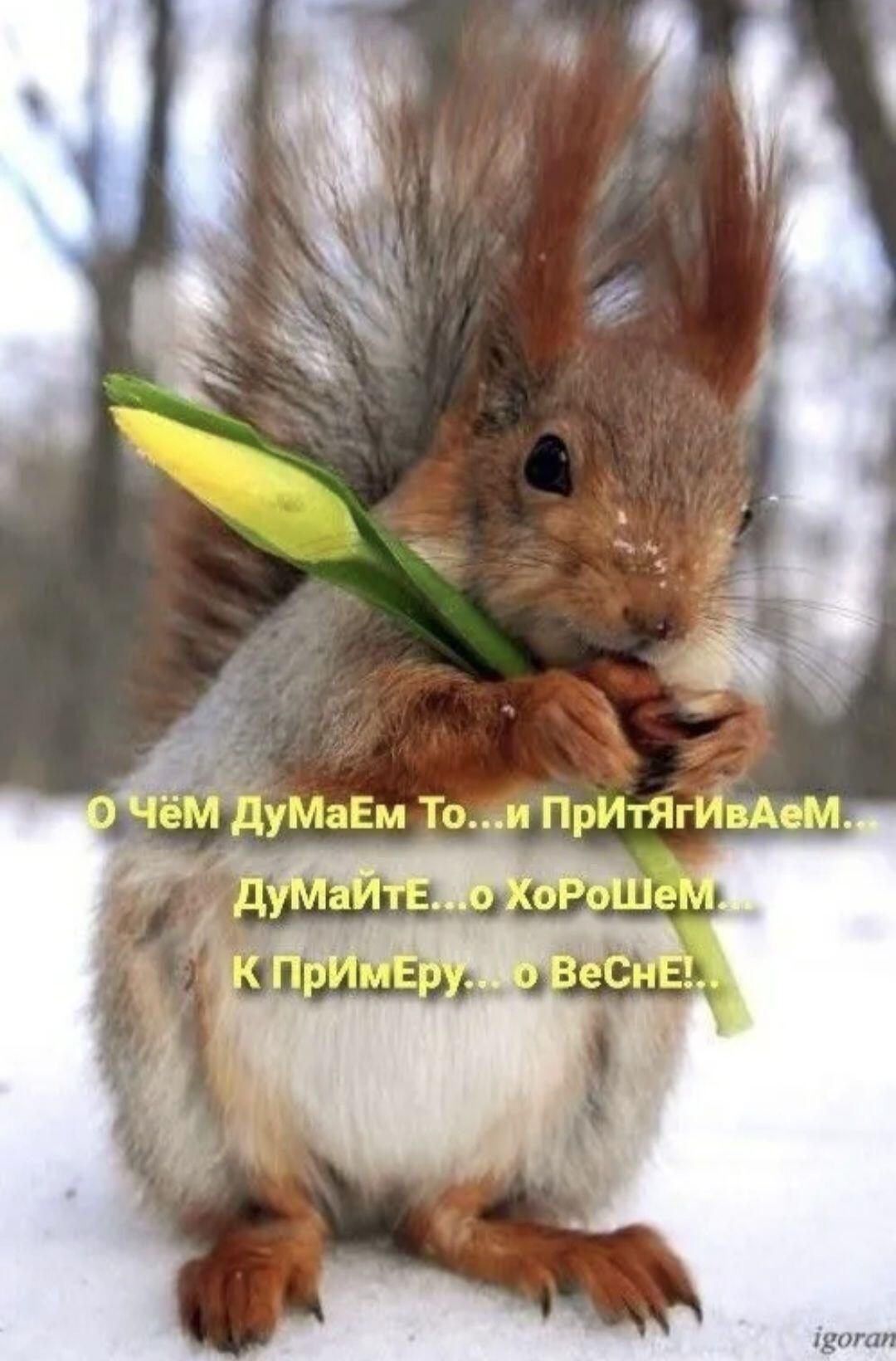 О Чём Думаем То...и Притягиваем... Думайте...о Хорошем...К примеру... о Весне!