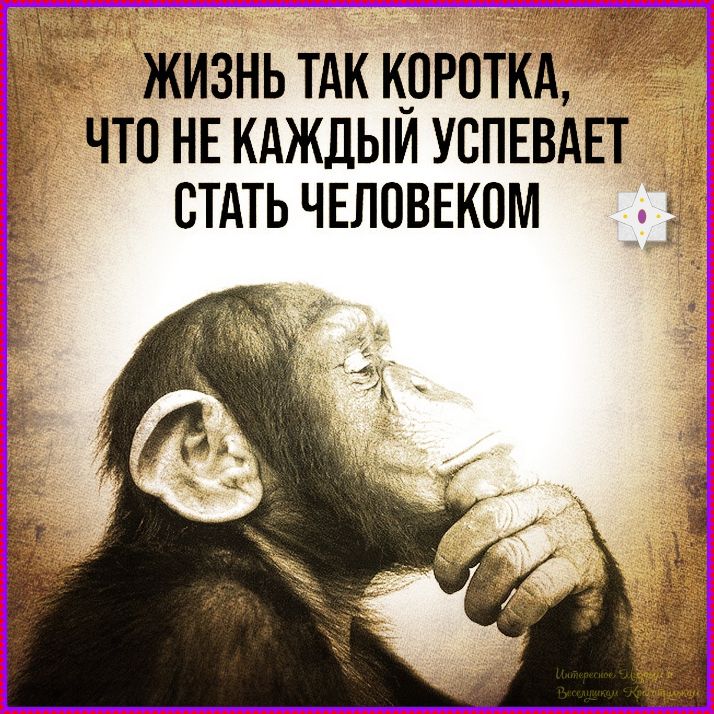 Жизнь так коротка, что не каждый успевает стать человеком