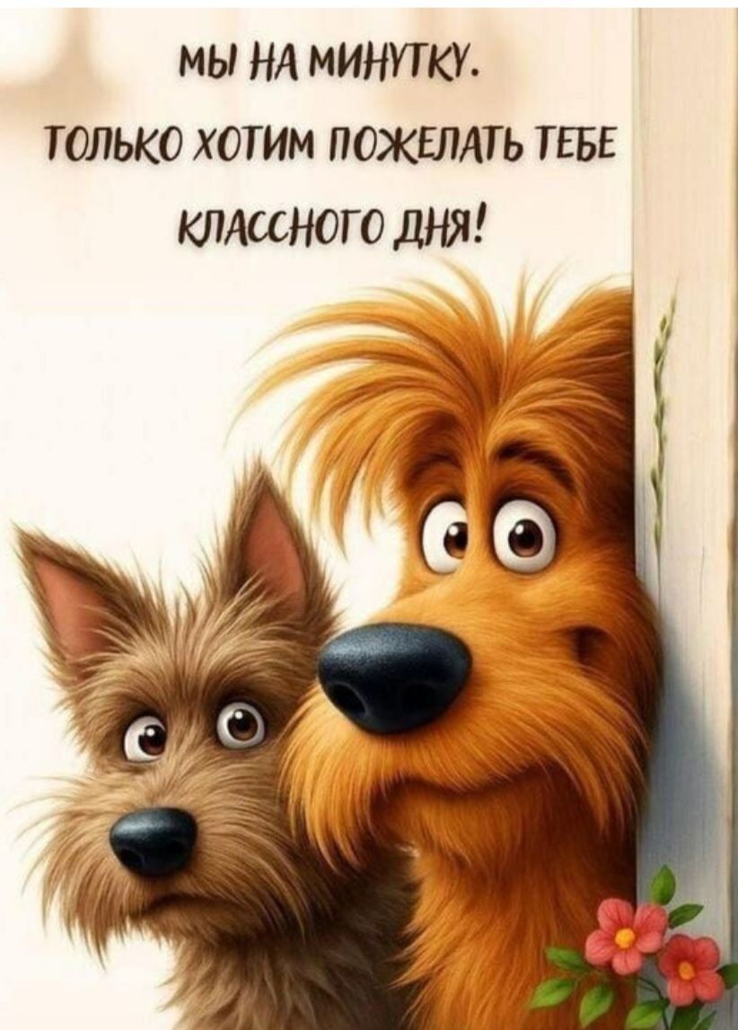 МЫ НА МИНУТКУ. ТОЛЬКО ХОТИМ ПОЖЕЛАТЬ ТЕБЕ КЛАССНОГО ДНЯ!