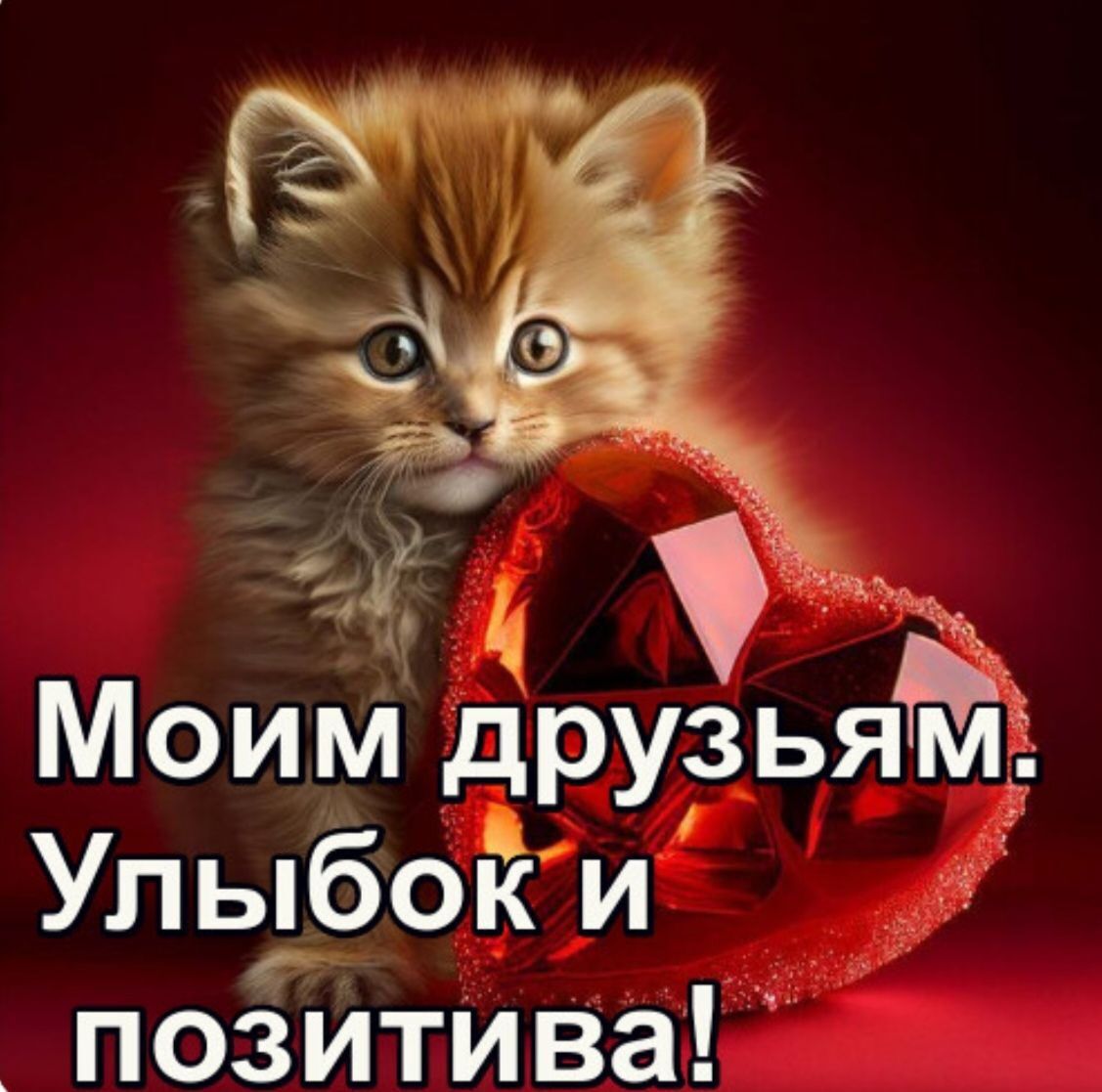 Моим друзьям. Улыбок и позитива!