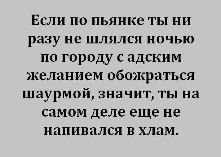 Если по пьянке ты ни разу не шлялся ночью по городу с адским желанием обожраться шаурмой, значит, ты на самом деле еще не напивался в хлам.