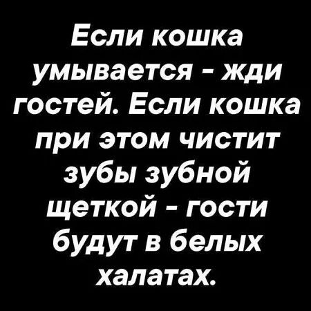 Если кошка умывается - жди гостей. Если кошка при этом чистит зубы зубной щеткой - гости будут в белых халатах.