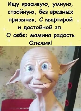 Ищу красивую, умную, стройную, без вредных привычек. С квартирой и достойной зп. О себе: мамина радость Олежик!