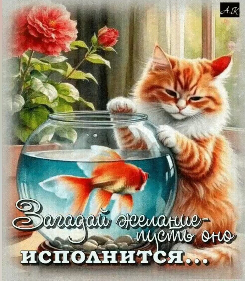 Загадай желание - пусть оно исполнится...