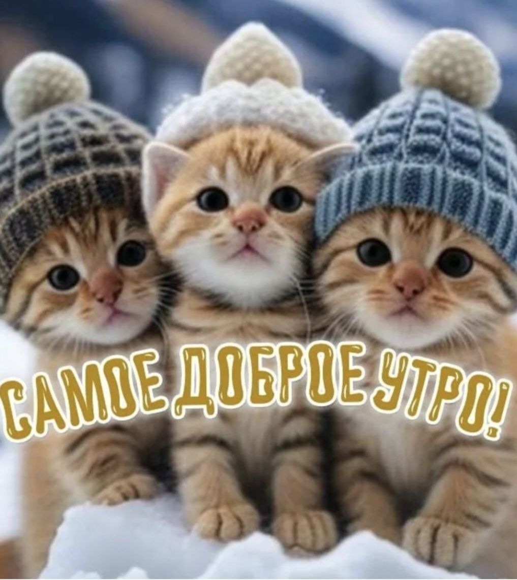 САМОЕ ДОБРОЕ УТРО!