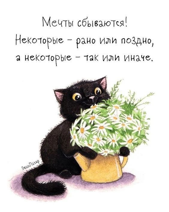 Мечты сбываются! Некоторые - рано или поздно, а некоторые - так или иначе.