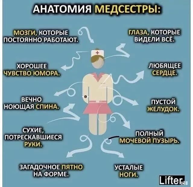 АНАТОМИЯ МЕДСЕСТРЫ: МОЗГИ, КОТОРЫЕ ПОСТОЯННО РАБОТАЮТ. ХОРОШЕЕ ЧУВСТВО ЮМОРА. ВЕЧНО НОЮЩАЯ СПИНА. СУХИЕ, ПОТРЕСКАВШИЕСЯ РУКИ. ЗАГАДОЧНОЕ ПЯТНО НА ФОРМЕ. ГЛАЗА, КОТОРЫЕ ВИДЕЛИ ВСЁ. ЛЮБЯЩЕЕ СЕРДЦЕ. ПУСТОЙ ЖЕЛУДОК. ПОЛНЫЙ МОЧЕВОЙ ПУЗЫРЬ. УСТАЛЫЕ НОГИ. Lifter
