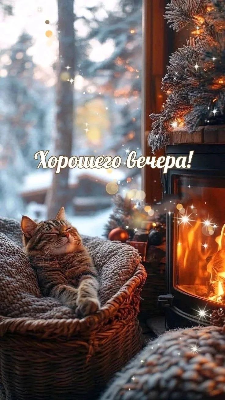 Хорошего вечера!