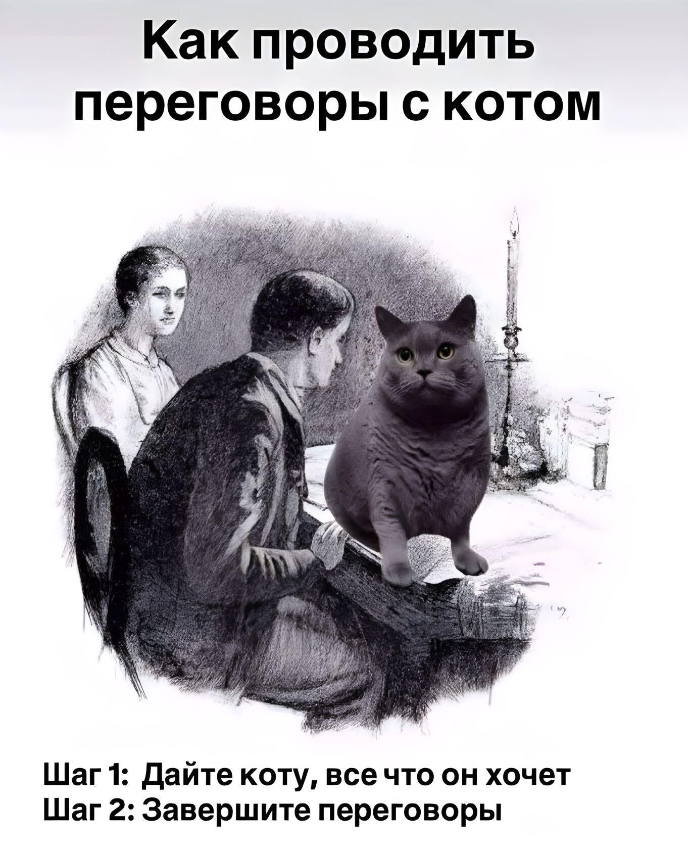 Как проводить переговоры с котом Шаг 1: Дайте коту, все что он хочет Шаг 2: Завершите переговоры
