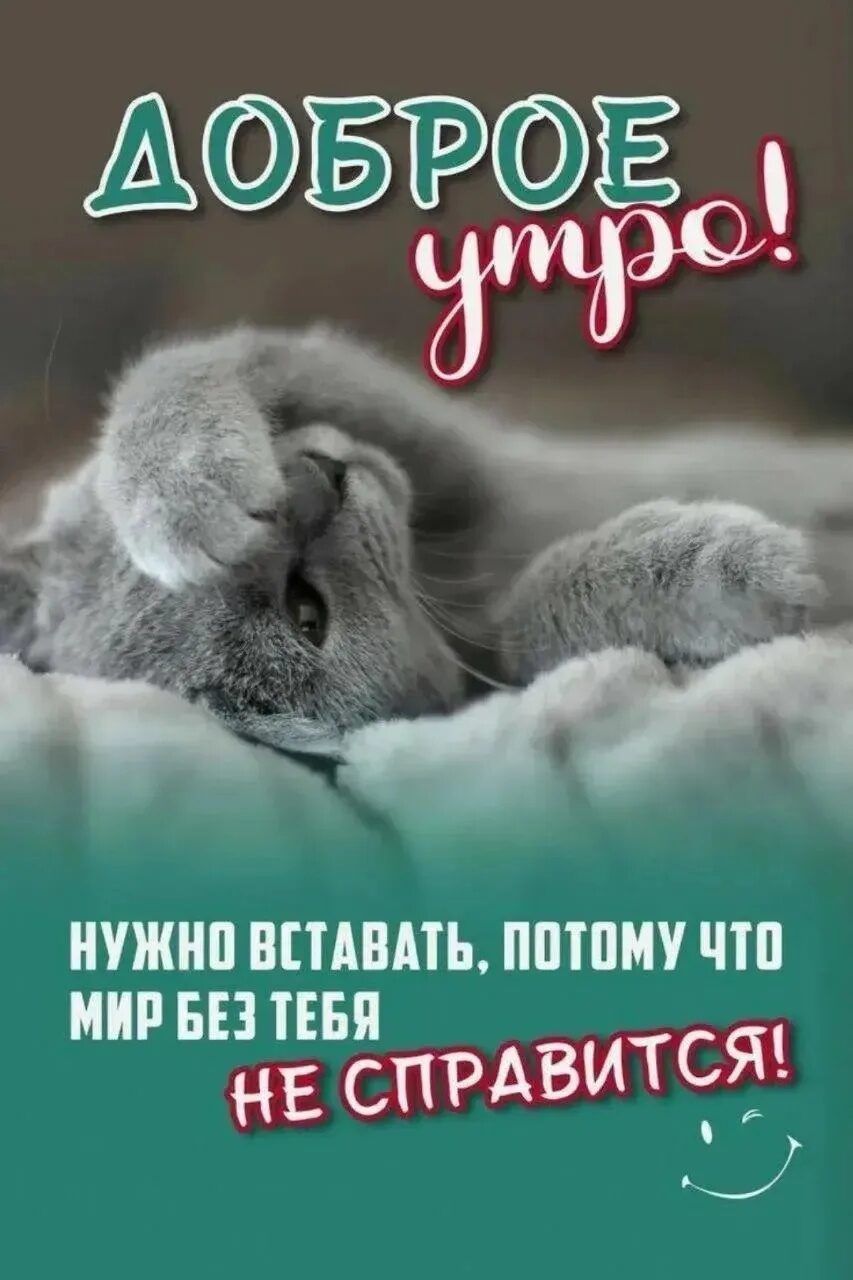 ДОБРОЕ утро! НУЖНО ВСТАВАТЬ, ПОТОМУ ЧТО МИР БЕЗ ТЕБЯ НЕ СПРАВИТСЯ!