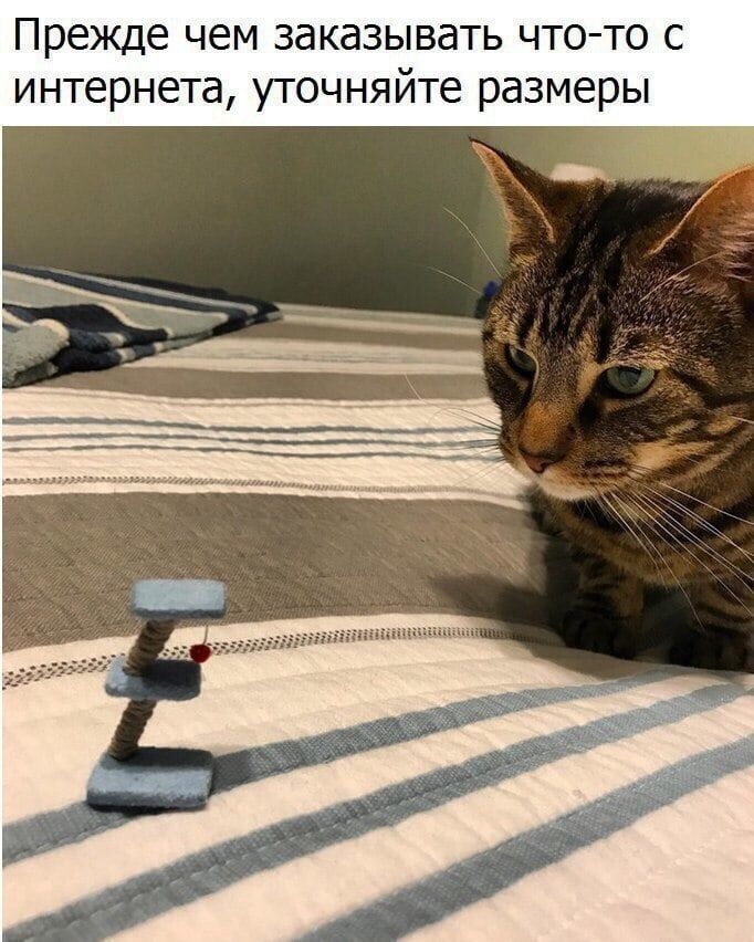 Прежде чем заказывать что-то с интернета, уточняйте размеры