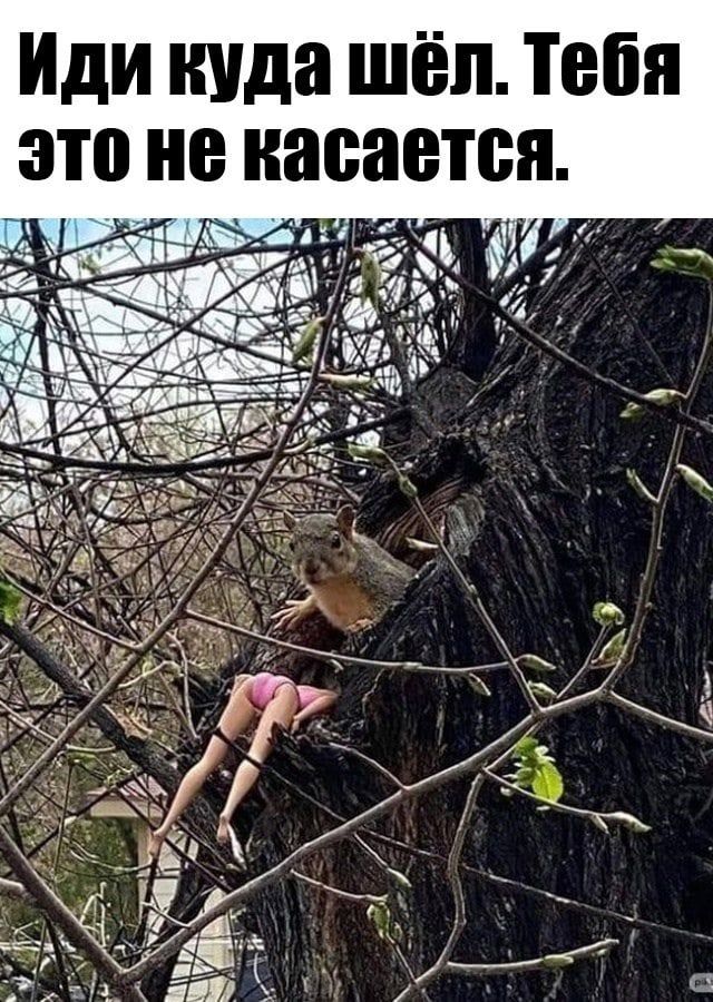 Иди куда шёл. Тебя это не касается.