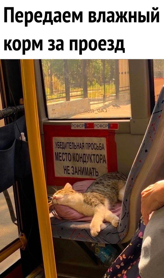 Передаем влажный корм за проезд. УБЕДИТЕЛЬНАЯ ПРОСЬБА МЕСТО КОНДУКТОРА НЕ ЗАНИМАТЬ. РСФСР
