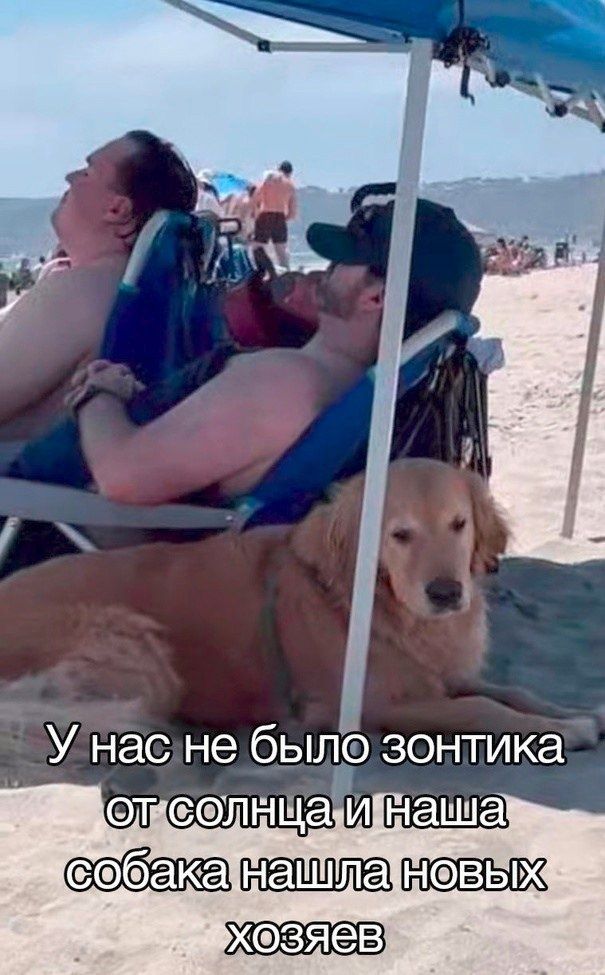 У нас не было зонтика от солнца и наша собака нашла новых хозяев