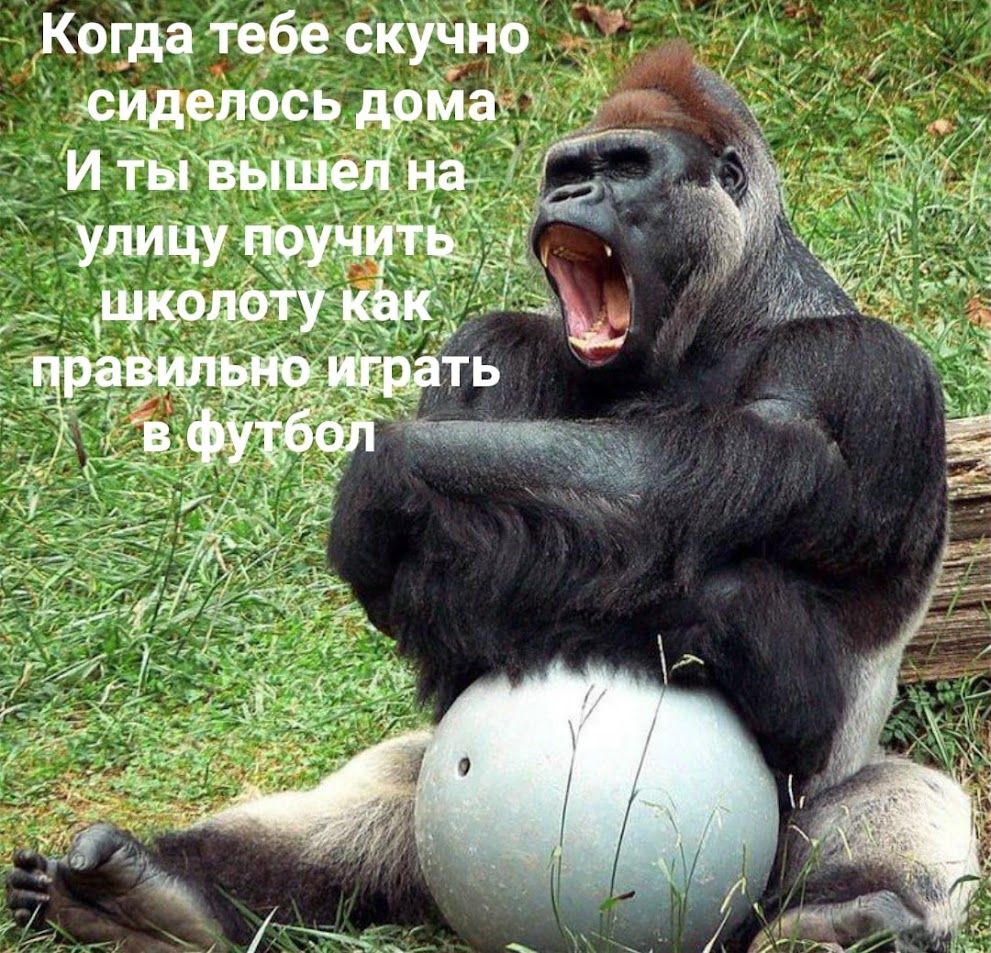 Когда тебе скучно сиделось дома И ты вышел на улицу поучить школоту как правильно играть в футбол