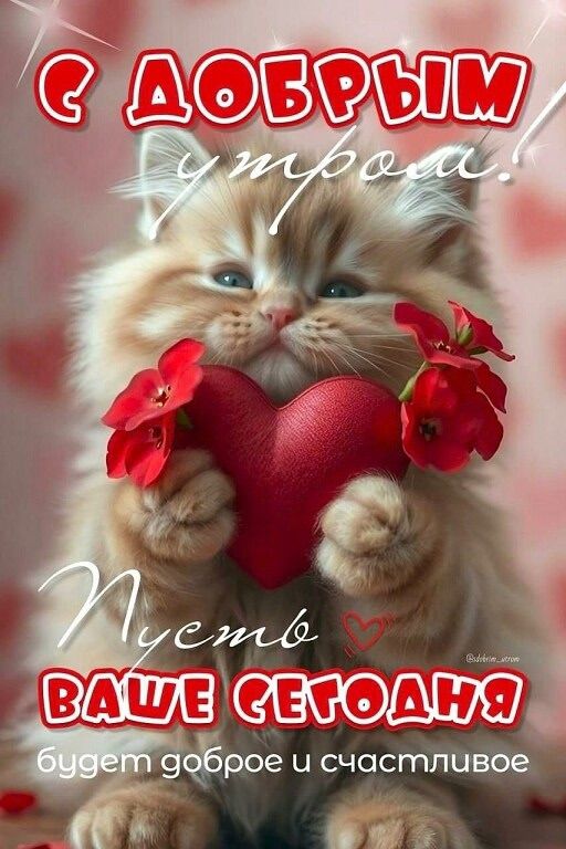 С ДОБРЫМ утром! Пусть ВАШЕ СЕГОДНЯ будет доброе и счастливое