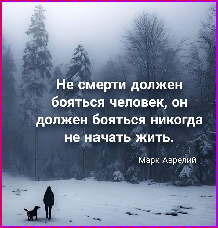 Не смерти должен бояться человек, он должен бояться никогда не начать жить. Марк Аврелий