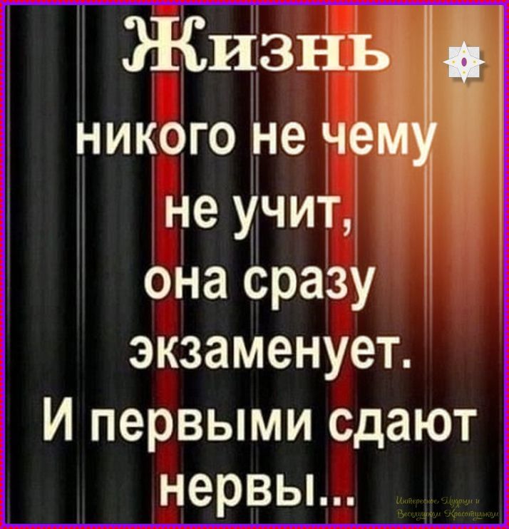 Жизнь никого не чему не учит, она сразу экзаменует. И первыми сдают нервы...
