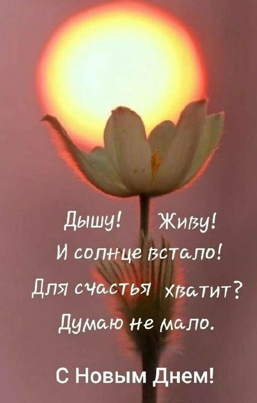 Дышу! Живу! И солнце встало! Для счастья хватит? Думаю не мало. С Новым Днем!